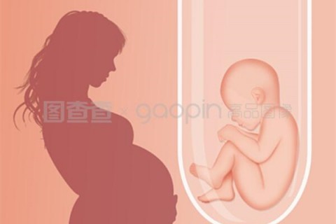 运动让无锡捐卵宝宝长得更高