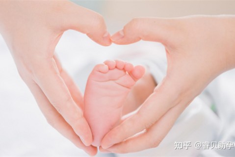 http://wuxi.51dzb.net/post/188.html|无锡新闻中心